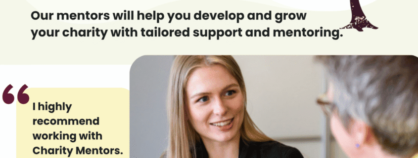 A promotional poster for Charity Mentors Sussex showing a woman talking with another person. The text advertises free professional mentoring for charity and community groups, with testimonials and contact information at the bottom.