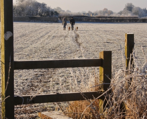A frosty field with a wooden gate in the foreground. In the distance, three people and a dog walk along a narrow path under a clear blue sky. The grass and plants are covered in frost.