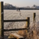 A frosty field with a wooden gate in the foreground. In the distance, three people and a dog walk along a narrow path under a clear blue sky. The grass and plants are covered in frost.
