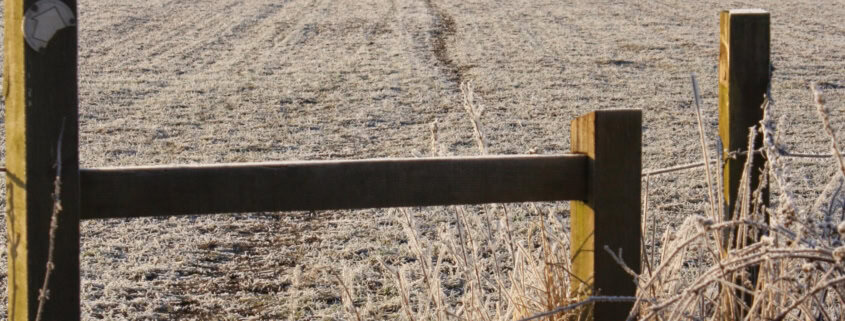 A frosty field with a wooden gate in the foreground. In the distance, three people and a dog walk along a narrow path under a clear blue sky. The grass and plants are covered in frost.